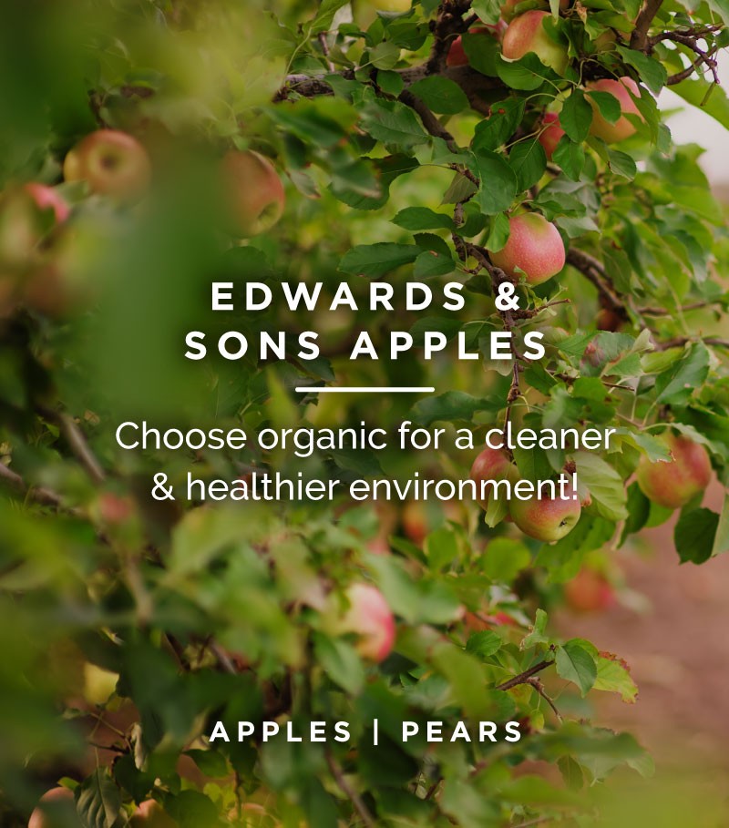 Edwards & Sons Apples