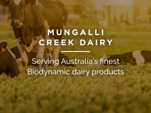 Mungalli Creek Dairy Small