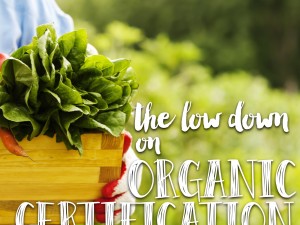 Who Accredits the Different Organic Certifiers?