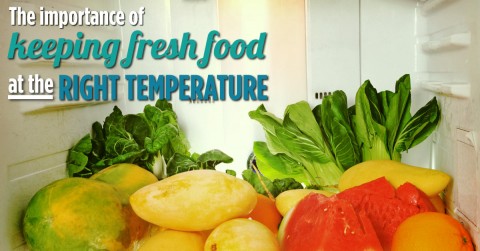 The-importance-of-fresh-food-temperature-FB-1200X628