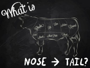 What is Nose to Tail?