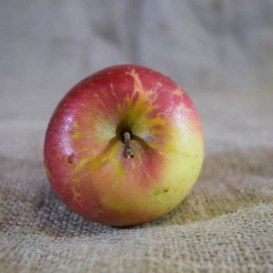 Apples Fuji (100g)