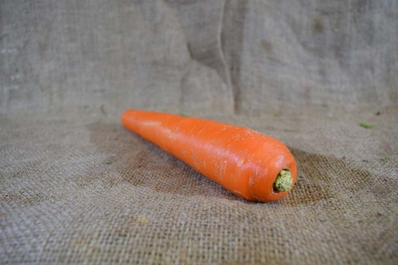 Carrots 1st GRADE (100g) SPEC
