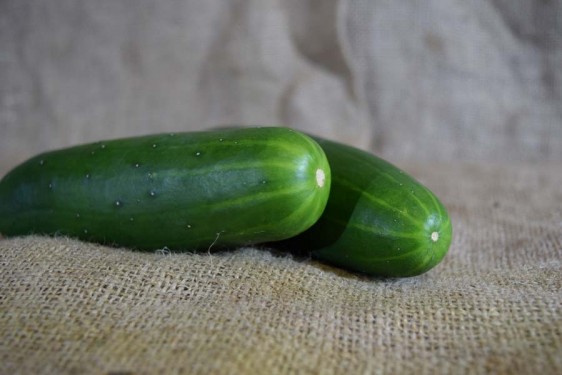 Cucumber Green M/L (kg)