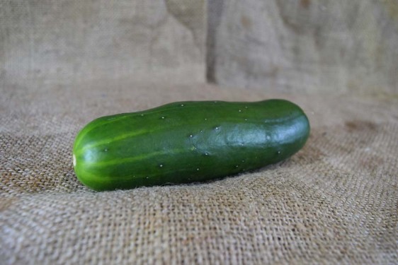 Cucumber Green M/L (100g)