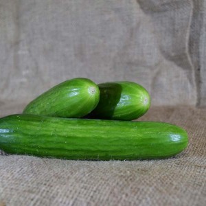 Cucumber Lebanese (kg)