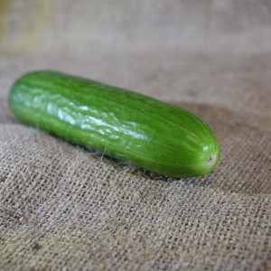 Cucumber Lebanese (100g)
