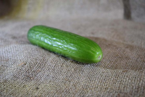 Cucumber Lebanese (100g)