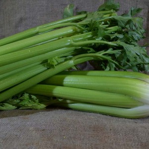 Celery Med (Bch)