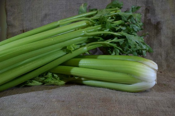 Celery Med (Bch)
