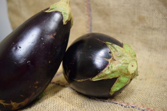Eggplant MED (kg)