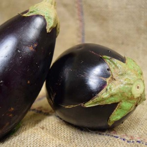 Eggplant MED (100g)