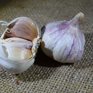 Garlic Purple/White (100g)