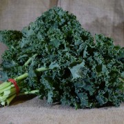 Kale Curly Green (Bch) SPEC