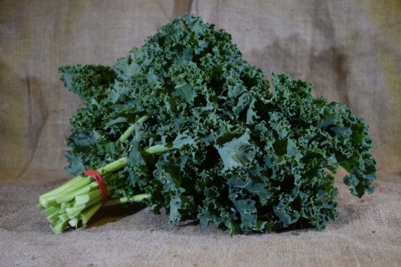 Kale Curly Green (Bch) SPEC