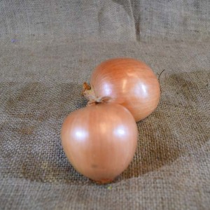 Onions Brown (kg) SPEC