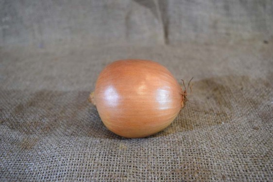 Onions Brown (100g) SPEC
