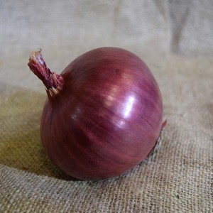 #Onions Red (100g)