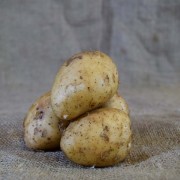 Potatoes Sebago (kg)