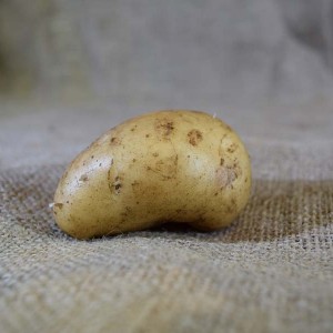 Potatoes Sebago (100g)