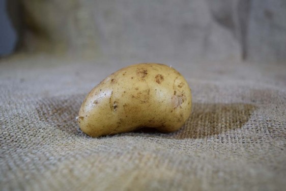 Potatoes Sebago (100g)