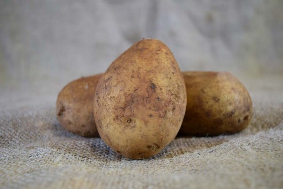 Potatoes Nicola (kg)