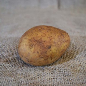 Potatoes Nicola (100g)