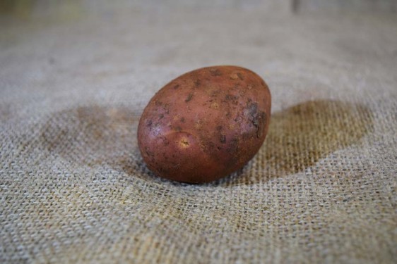 Potatoes Desiree (100g)
