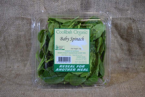 Spinach Baby (100g pnt)