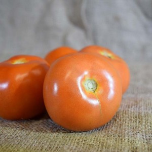 Tomatoes Round (kg)