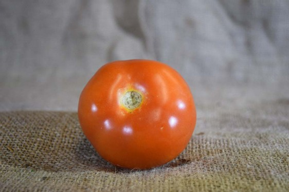Tomatoes Round (100g)