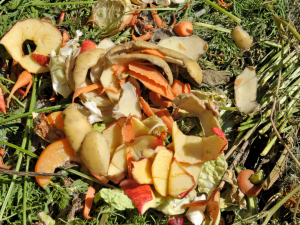 8 Ways to Use Supposed Kitchen Waste & Save on Your Organic Vegetable Bill