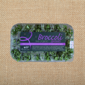 organic live broccoli sprouts